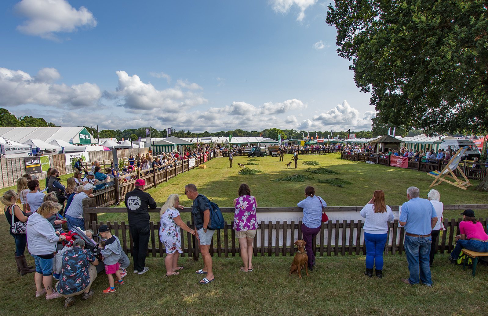 new forest & hampshire county show 