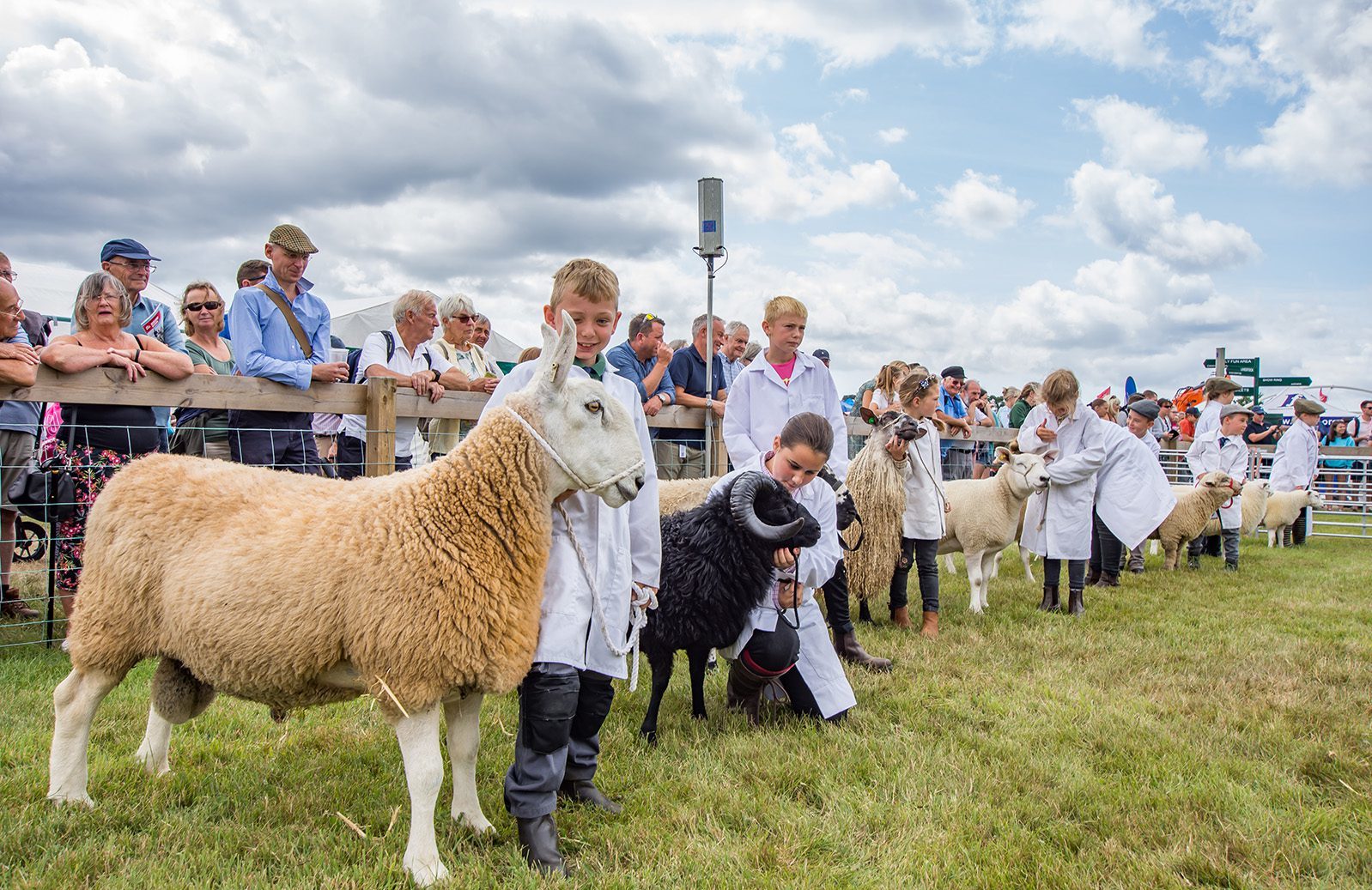 new forest & hampshire county show 